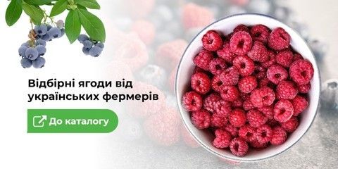 Banner from design
